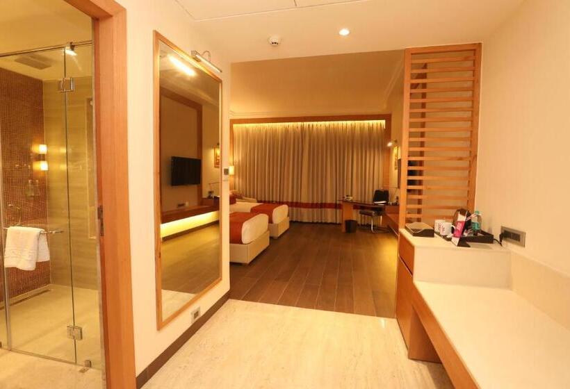 Номер Deluxe, Regenta Central Udaipur