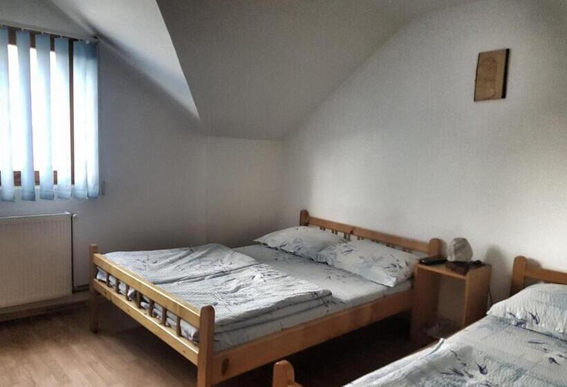 غرفة قياسية, Eszter Panzió