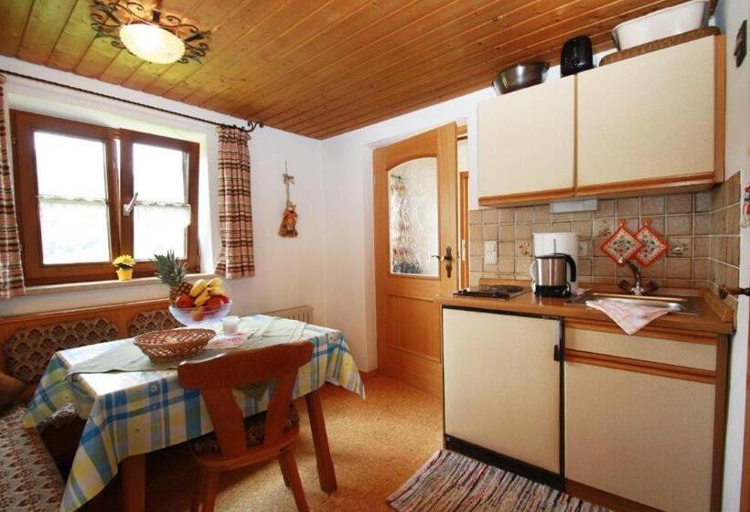 Appartamento 1 Camera da Letto, Bojernhof