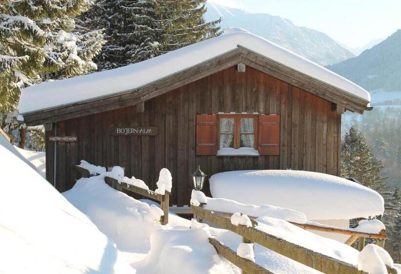 Appartamento 1 Camera da Letto con Balcone, Bojernhof