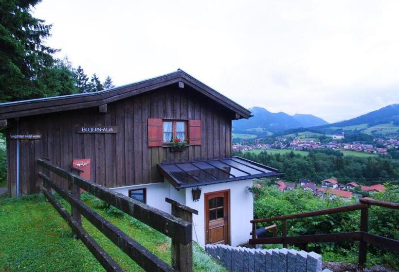 Appartamento 1 Camera da Letto con Balcone, Bojernhof