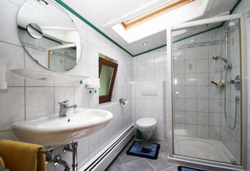 Appartamento 1 Camera da Letto con Balcone, Bojernhof