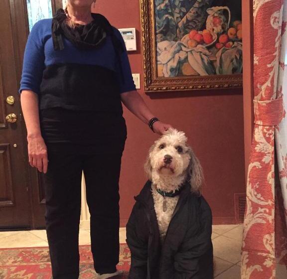 غرفة ديلوكس مطلّة علي البحر مزوَّدة بشُرفة, Mermaid S Muse Bed And Breakfast