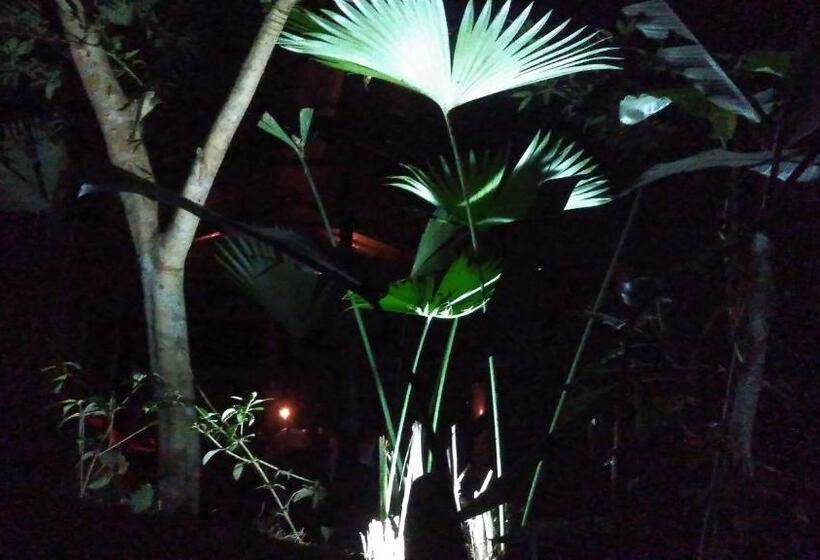 스탠다드 룸, Misahualli Laguna Paikawe B&b