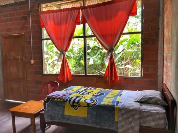 스탠다드 룸, Misahualli Laguna Paikawe B&b