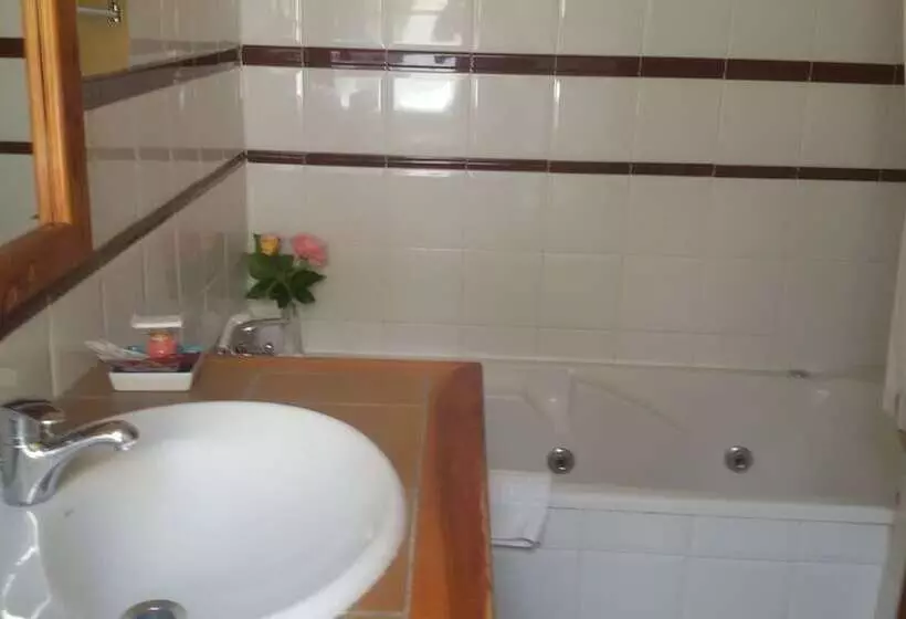 اتاق استاندارد با وان آب گرم, Rural & Spa Puente Del Duratón