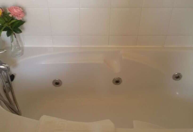 اتاق استاندارد با وان آب گرم, Rural & Spa Puente Del Duratón