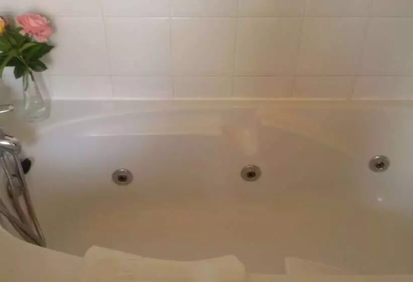 اتاق استاندارد با وان آب گرم, Rural & Spa Puente Del Duratón