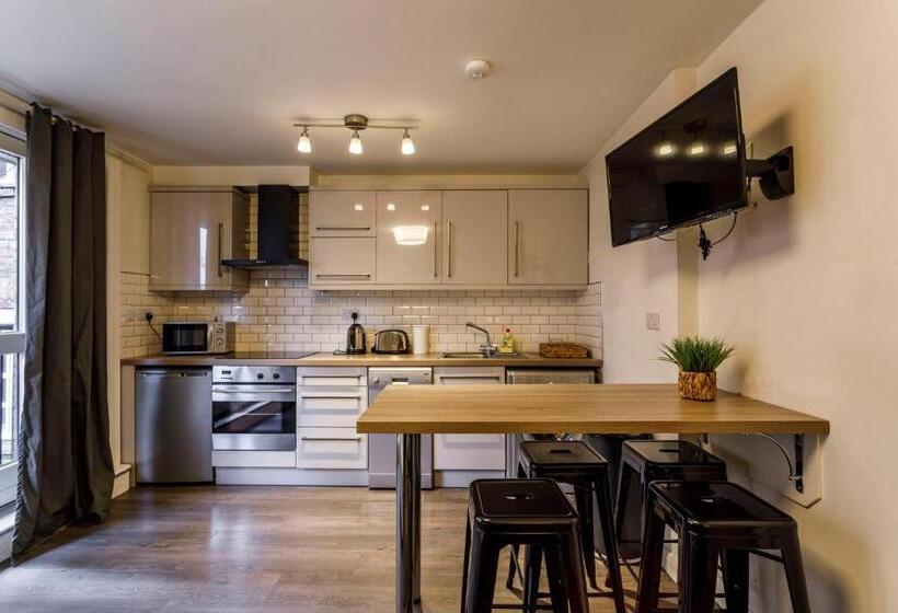 آپارتمان 1 خوابه, Temple Bar Lane