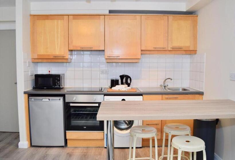 آپارتمان 1 خوابه, Temple Bar Lane