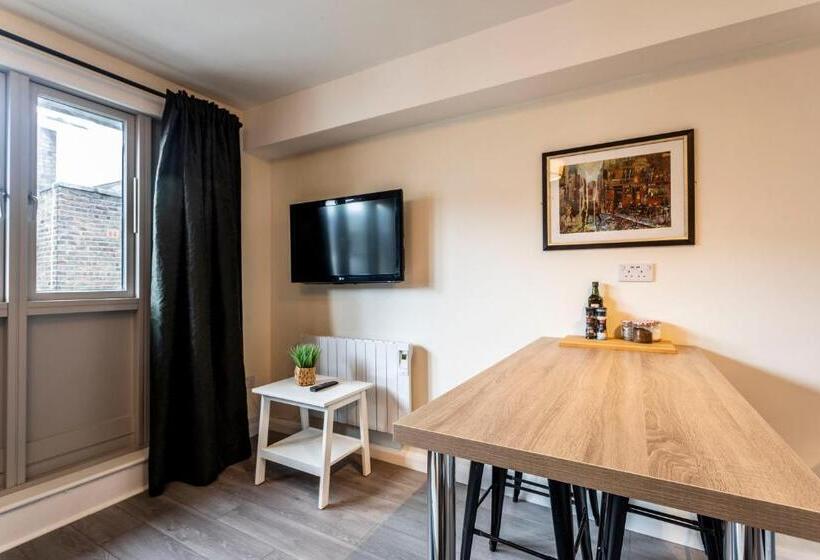 آپارتمان 1 خوابه, Temple Bar Lane