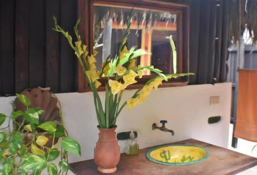 Standard Yhden Hengen Huone, Posada Mexico