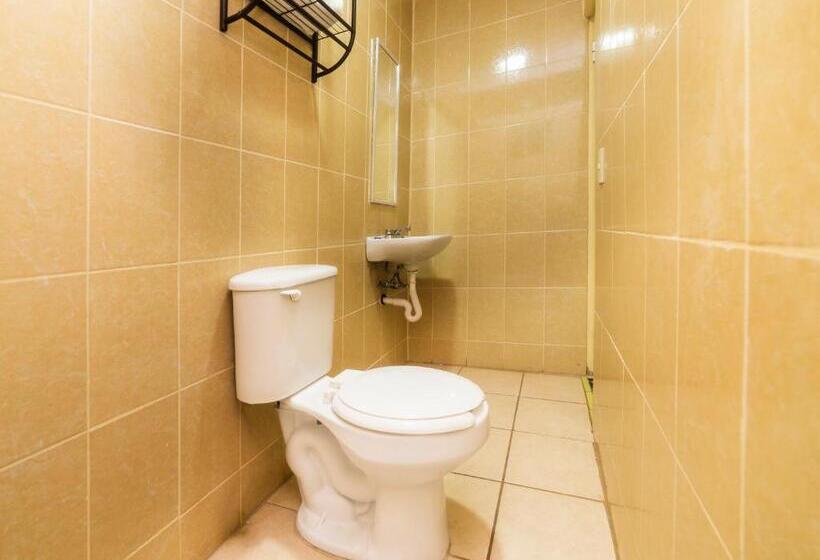 Номер Стандарт, Zaragoza, San Juan De Los Lagos