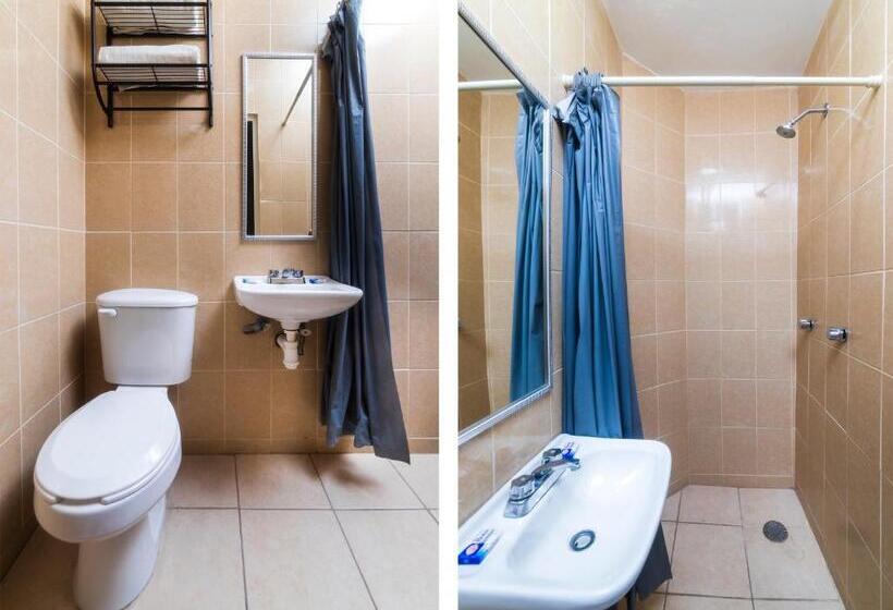 Номер Стандарт, Zaragoza, San Juan De Los Lagos