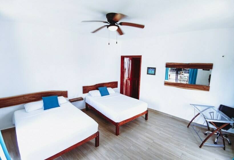 스탠다드 룸 더블 침대 2개, Ade