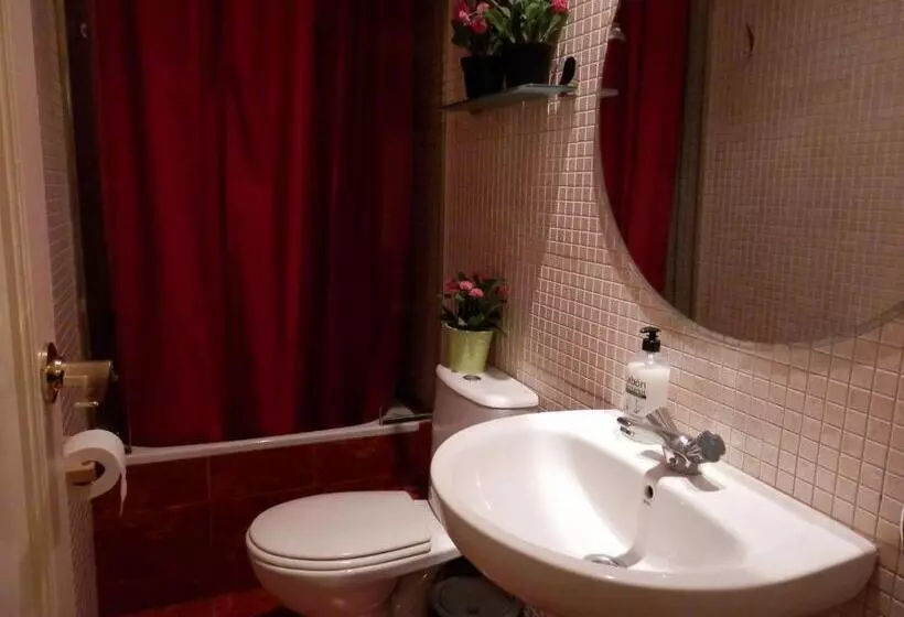 اتاق اکونومی یک تخته, Barcelona Central Garden Hostal