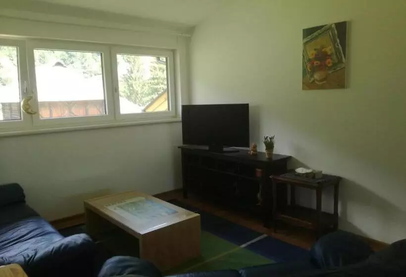 バルコニー付き１ベッドルームアパートメント, Chalet Kammleitn