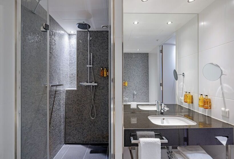 جناح جونيور, Crowne Plaza Amsterdam   South, An Ihg