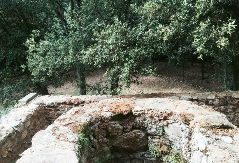 四人标准间, Mas Pelegri