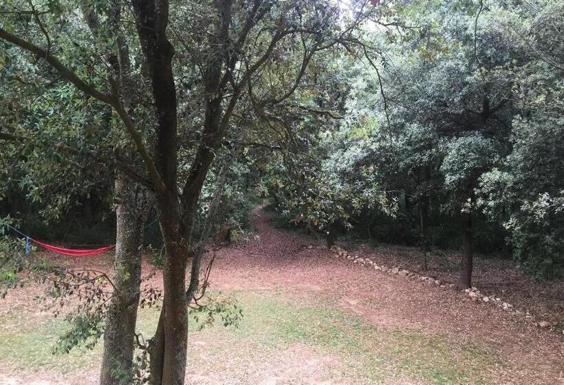 四人标准间, Mas Pelegri