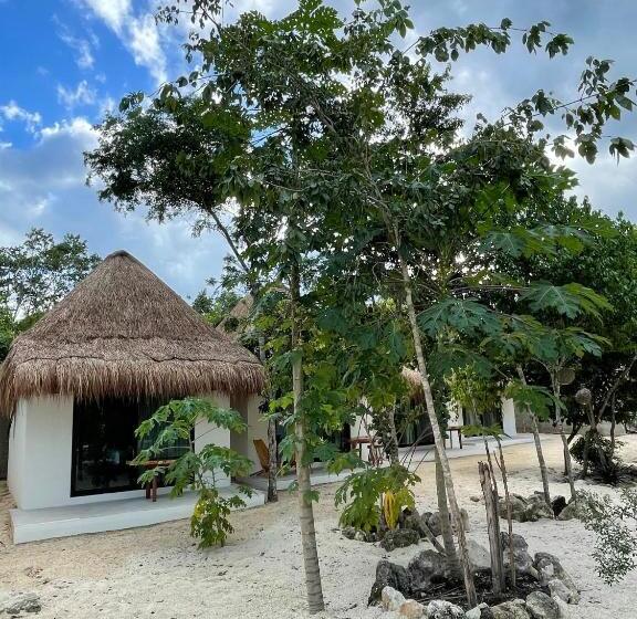 استودیو استاندارد با تراس, The Reserve Tulum