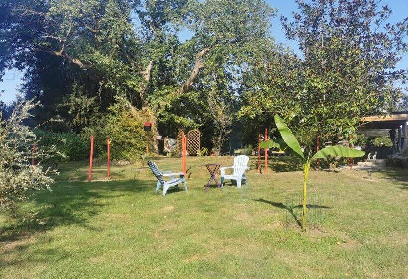 חדר סטנדרט, Villa Les Camelias