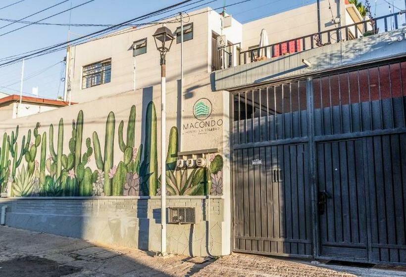 Номер Стандарт, Esencia Oaxaca