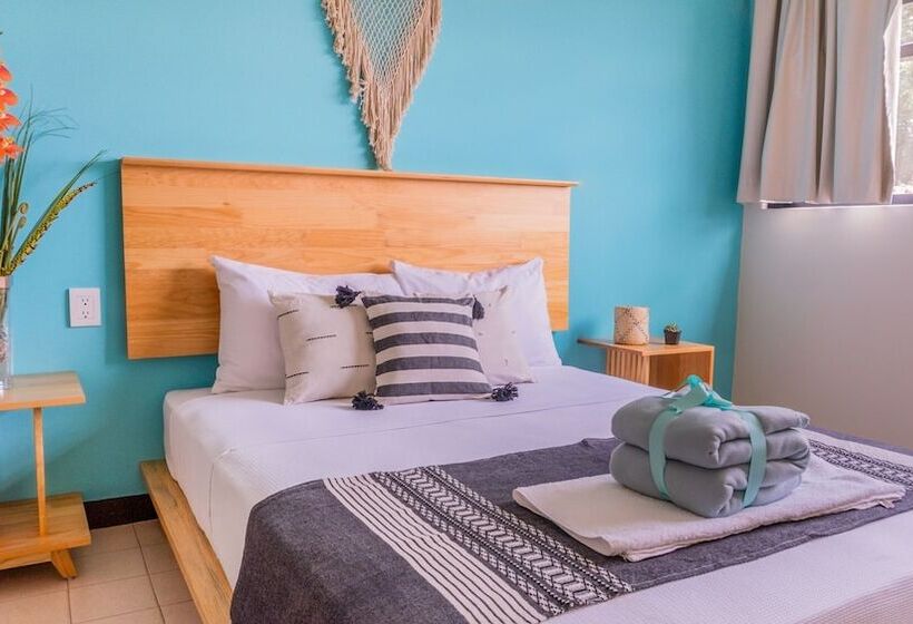 Номер Стандарт, Esencia Oaxaca