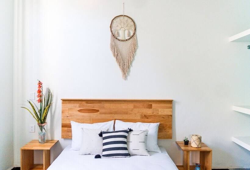 Номер Стандарт, Esencia Oaxaca