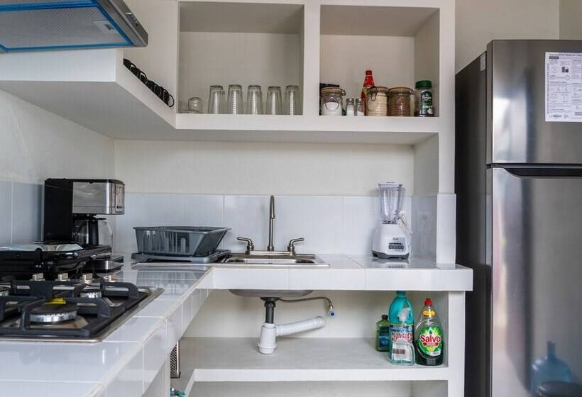 Номер Стандарт, Esencia Oaxaca