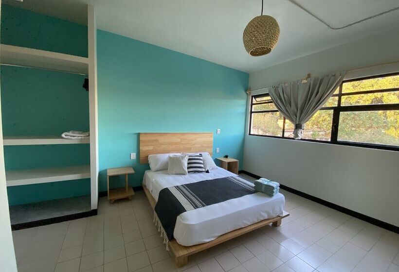 Номер Стандарт, Esencia Oaxaca