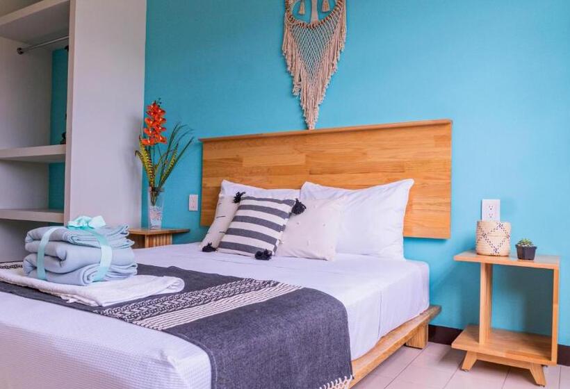 Номер Стандарт, Esencia Oaxaca