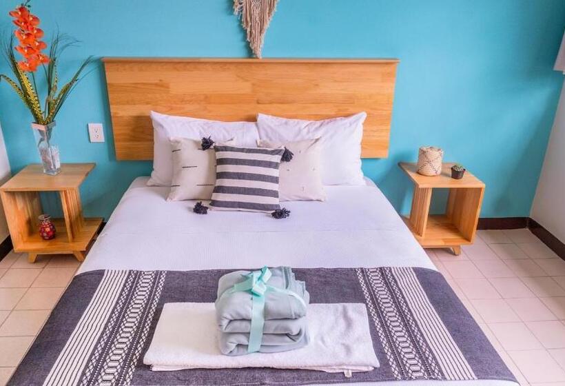 Номер Стандарт, Esencia Oaxaca