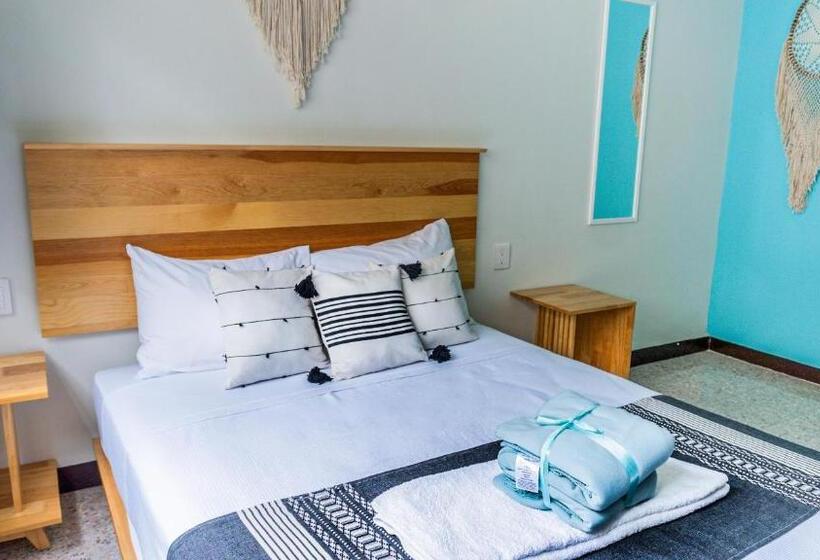 Номер Стандарт, Esencia Oaxaca