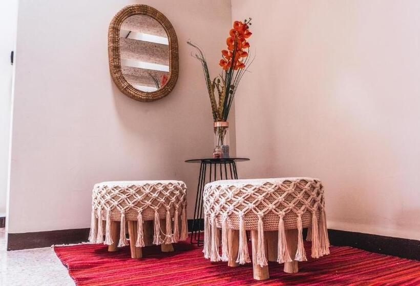 Номер Стандарт, Esencia Oaxaca