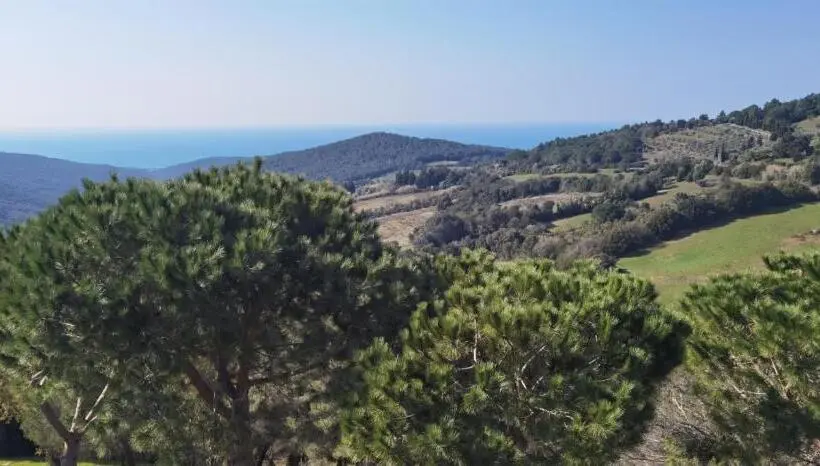スタンダードトリプルルーム, Vista Sulle Isole Dell Arcipelago Toscano