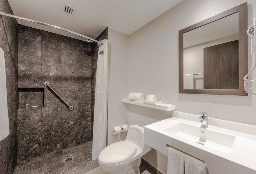 Standard Room 2 Double Beds, Sleep Inn Guadalajara Galerias