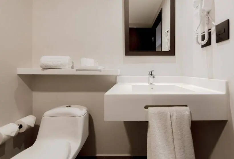 اتاق استاندارد با 2 تخت دوبل, Sleep Inn Guadalajara Galerias