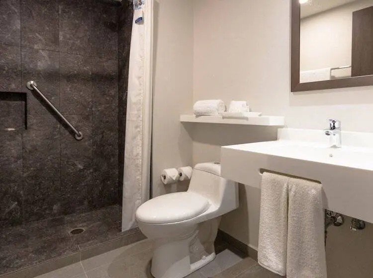 اتاق استاندارد با 2 تخت دوبل, Sleep Inn Guadalajara Galerias