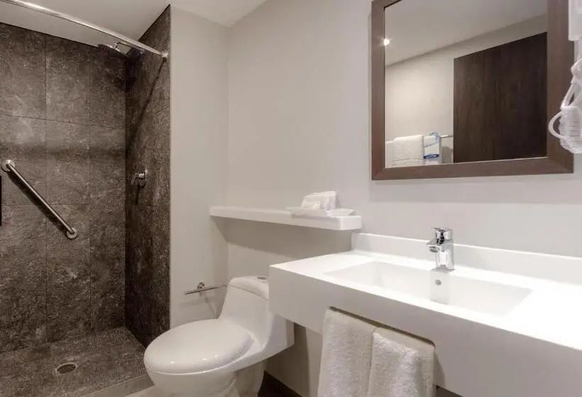 اتاق استاندارد با 2 تخت دوبل, Sleep Inn Guadalajara Galerias