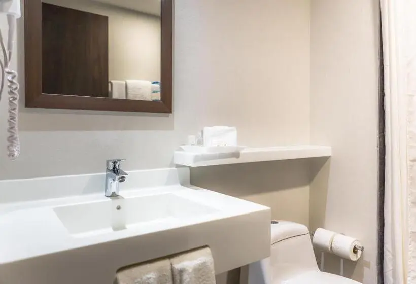 اتاق استاندارد با 2 تخت دوبل, Sleep Inn Guadalajara Galerias