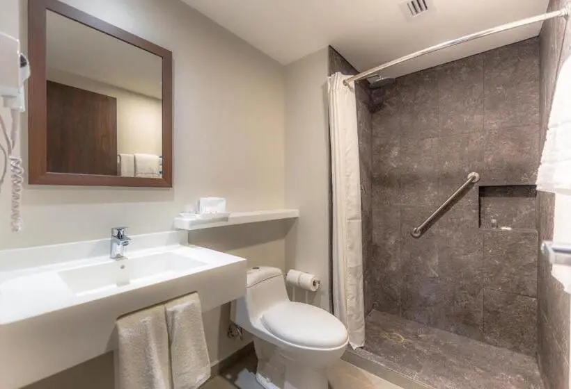 اتاق استاندارد با 2 تخت دوبل, Sleep Inn Guadalajara Galerias