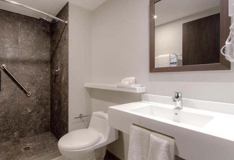 חדר סטנדרט, Sleep Inn Guadalajara Galerias