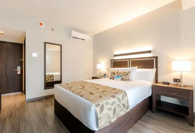 اتاق استاندارد, Sleep Inn Guadalajara Galerias