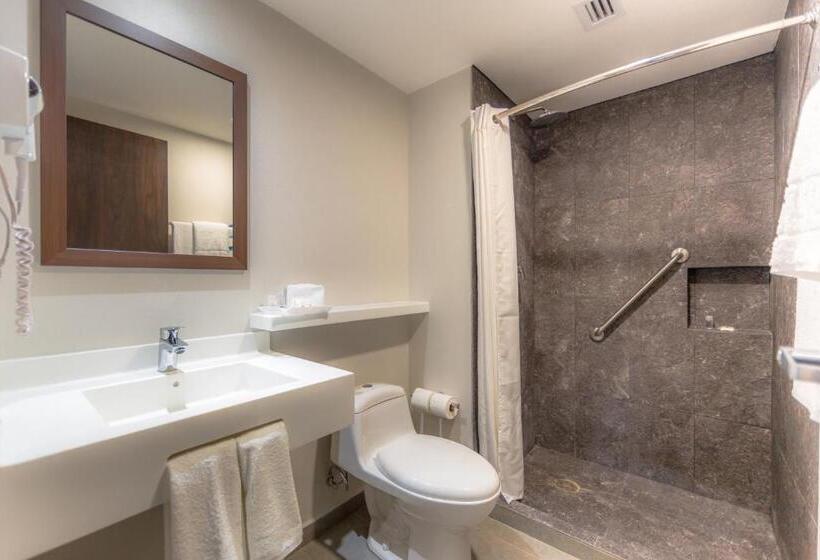 חדר סטנדרט, Sleep Inn Guadalajara Galerias