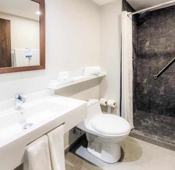 חדר סטנדרט, Sleep Inn Guadalajara Galerias