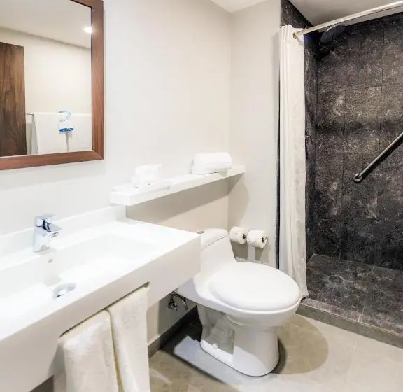 اتاق استاندارد, Sleep Inn Guadalajara Galerias