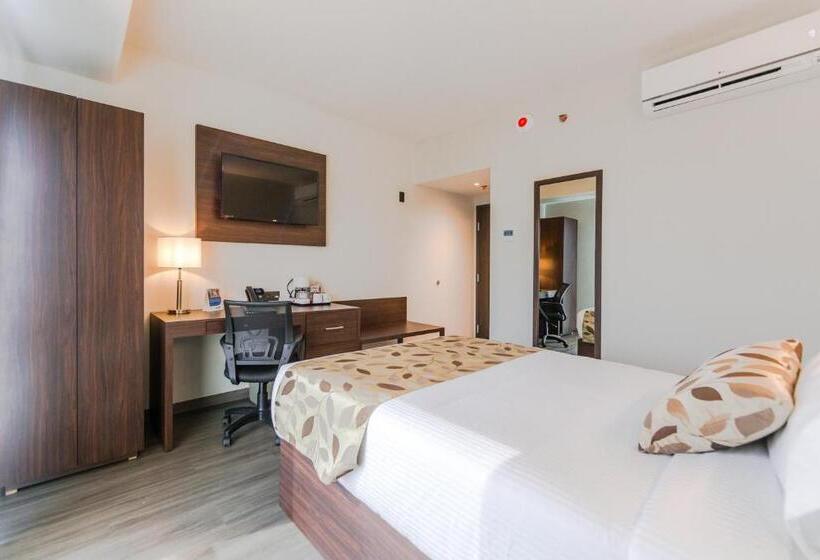 Standard Room, Sleep Inn Guadalajara Galerias