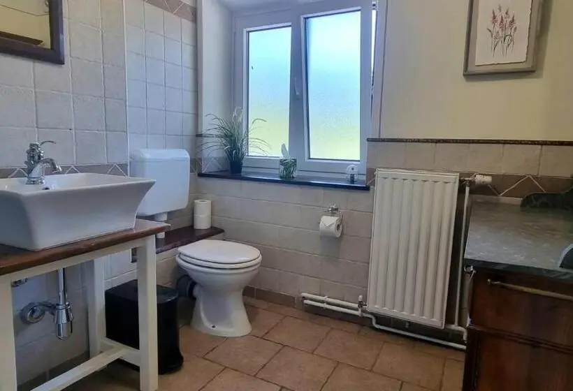 اتاق سوپریور با تخت بزرگ, Hisa Brdo Guesthouse