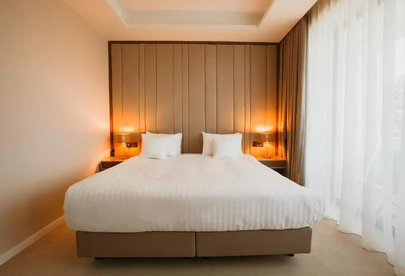 Quarto Classe Business, Stein Collection